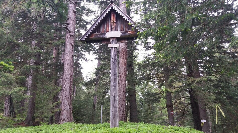 Wanderung Katzbach-Runde - Touren-Impression #2.11 | © Region Graz