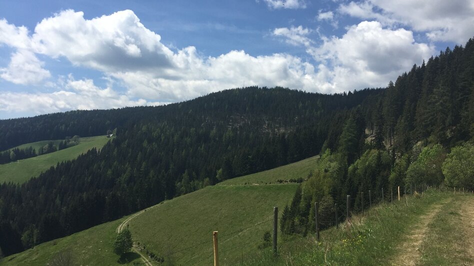 Wanderung Katzbach-Runde - Touren-Impression #2.13 | © Region Graz