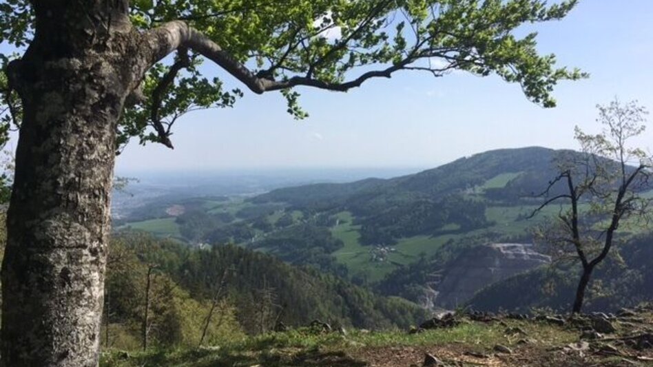 Wanderung Patscha-Runde, St. Kathrein am Offenegg - Touren-Impression #2.1 | © Oststeiermark Tourismus