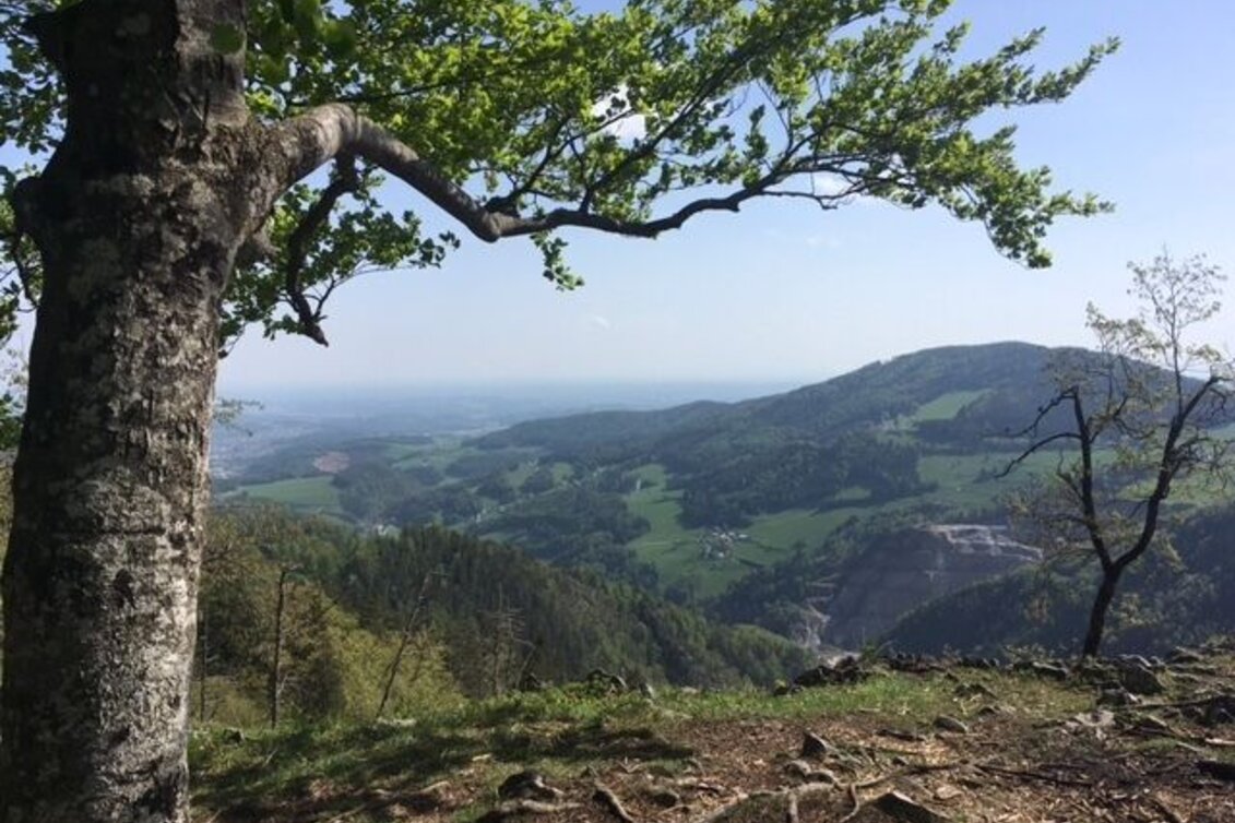 Wanderung Patscha-Runde, St. Kathrein am Offenegg - Touren-Impression #1 | © Oststeiermark Tourismus