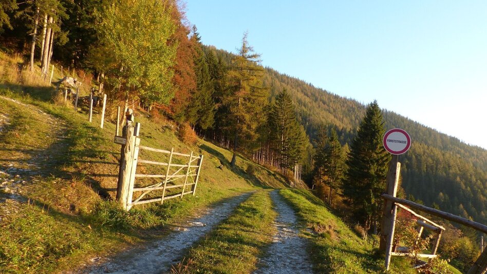 Wanderung Patscha-Runde, St. Kathrein am Offenegg - Touren-Impression #2.2 | © Oststeiermark Tourismus