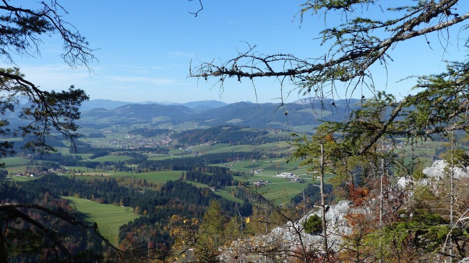 Wanderung Patscha-Runde, St. Kathrein am Offenegg - Touren-Impression #2.4 | © Oststeiermark Tourismus