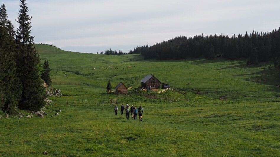 Wanderung Rund um den Naturpark Mürzer Oberland - Touren-Impression #2.8 | © TV Hochsteiermark