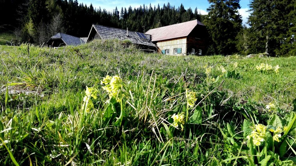 Wanderung Rund um den Naturpark Mürzer Oberland - Touren-Impression #2.2 | © TV Hochsteiermark