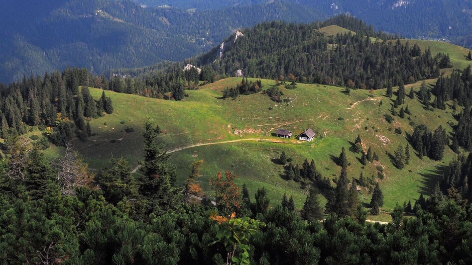 Wanderung Rund um den Naturpark Mürzer Oberland - Touren-Impression #2.4 | © TV Hochsteiermark