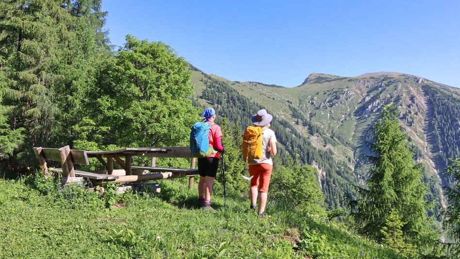 Wanderung Von Kammern im Liesingtal auf das Gößeck am Reiting - Touren-Impression #2.9 | © Weges OG