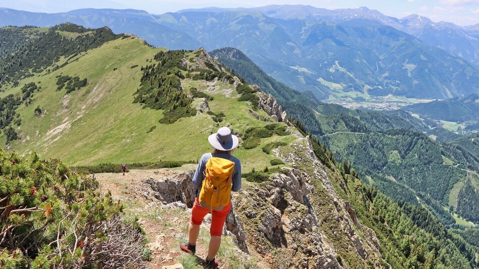 Wanderung Von Kammern im Liesingtal auf das Gößeck am Reiting - Touren-Impression #2.13 | © Weges OG