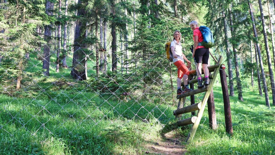 Wanderung Von Kammern im Liesingtal auf das Gößeck am Reiting - Touren-Impression #2.4 | © Weges OG