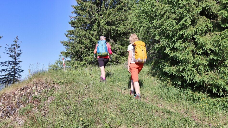Wanderung Von Kammern im Liesingtal auf das Gößeck am Reiting - Touren-Impression #2.7 | © Weges OG