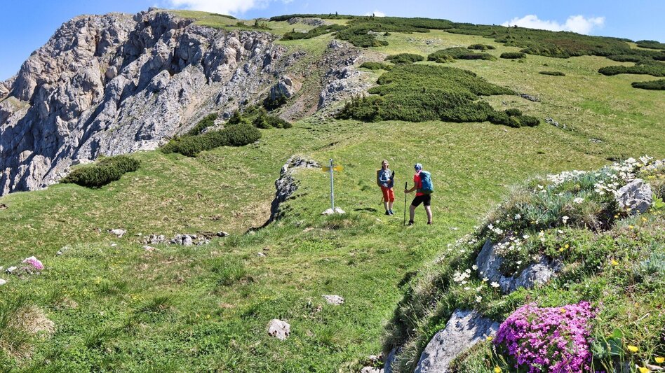 Wanderung Von Kammern im Liesingtal auf das Gößeck am Reiting - Touren-Impression #2.15 | © Weges OG