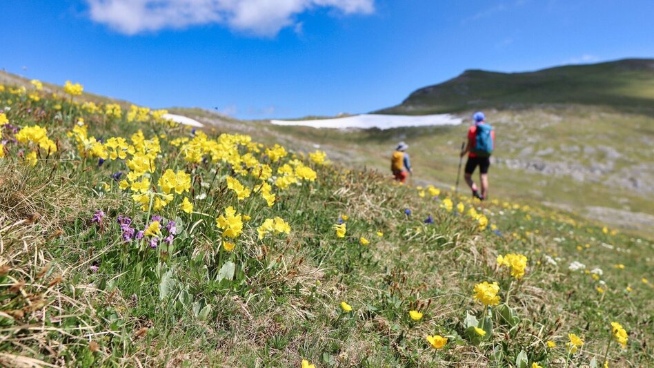 Wanderung Von Kammern im Liesingtal auf das Gößeck am Reiting - Touren-Impression #2.16 | © Weges OG