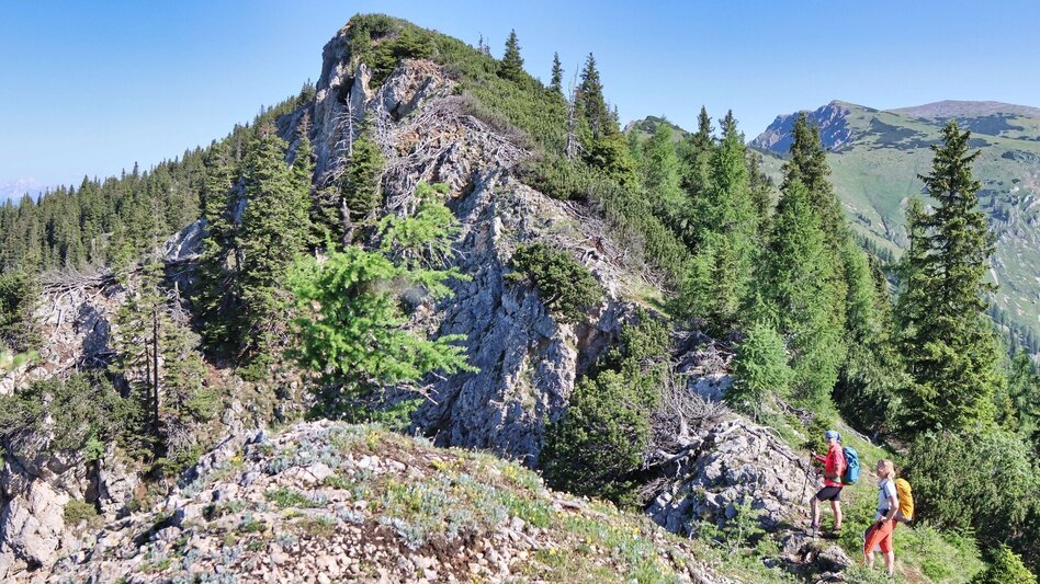 Wanderung Von Kammern im Liesingtal auf das Gößeck am Reiting - Touren-Impression #2.11 | © Weges OG