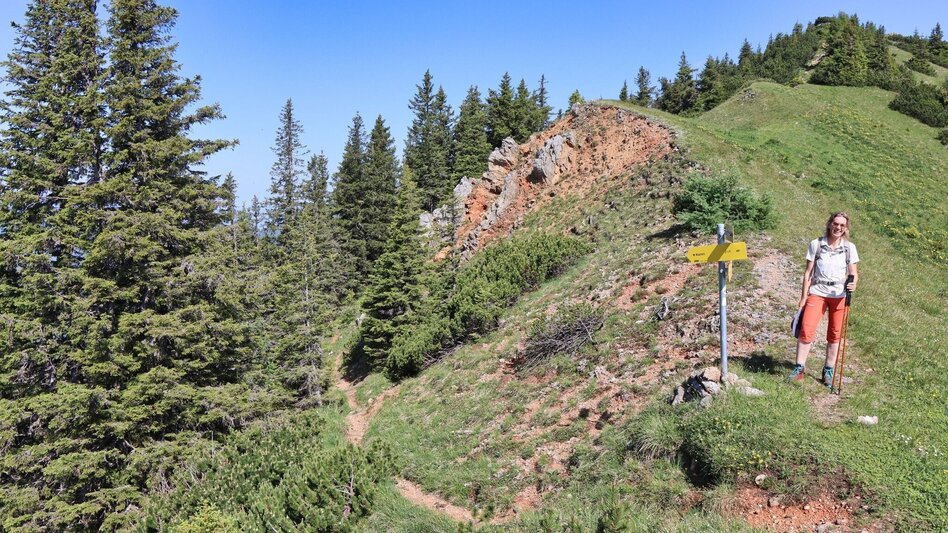 Wanderung Von Kammern im Liesingtal auf das Gößeck am Reiting - Touren-Impression #2.12 | © Weges OG
