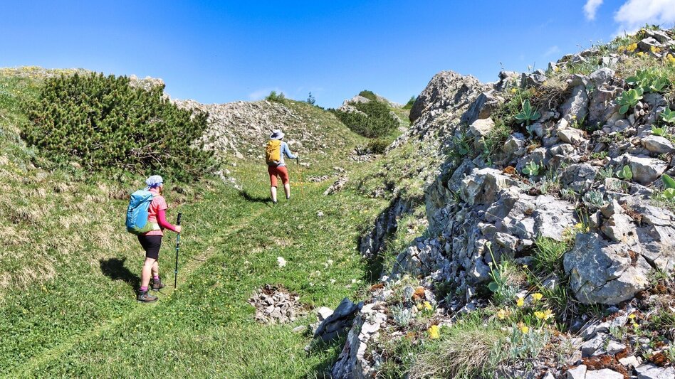 Wanderung Von Kammern im Liesingtal auf das Gößeck am Reiting - Touren-Impression #2.14 | © Weges OG