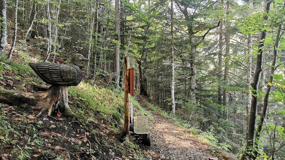 Wanderung Der Waldsteig beim Salza-Stausee - Touren-Impression #2.4 | © Ausseerland