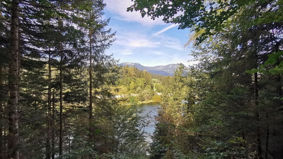 Wanderung Der Waldsteig beim Salza-Stausee - Touren-Impression #2.1 | © Ausseerland