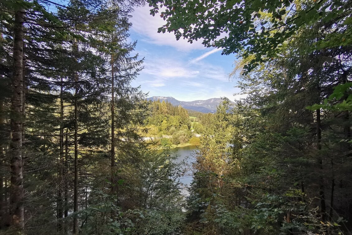 Wanderung Der Waldsteig beim Salza-Stausee - Touren-Impression #1 | © Ausseerland