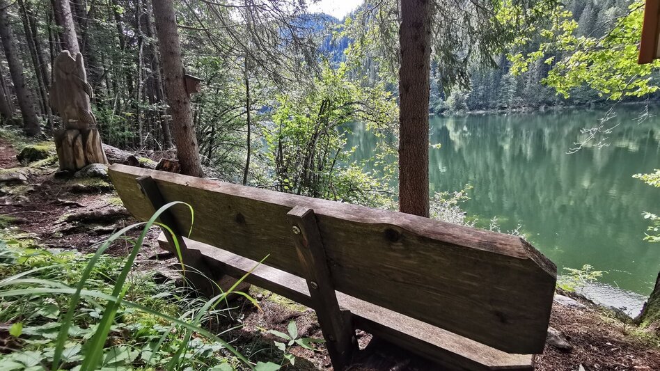 Wanderung Der Waldsteig beim Salza-Stausee - Touren-Impression #2.6 | © Ausseerland
