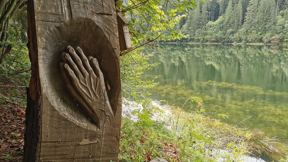 Wanderung Der Waldsteig beim Salza-Stausee - Touren-Impression #2.2 | © Ausseerland