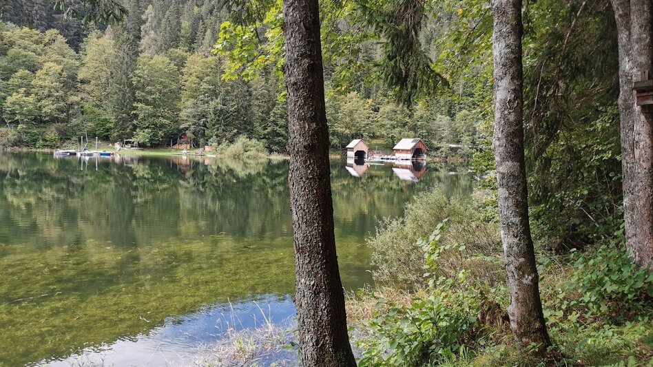 Wanderung Der Waldsteig beim Salza-Stausee - Touren-Impression #2.7 | © Ausseerland