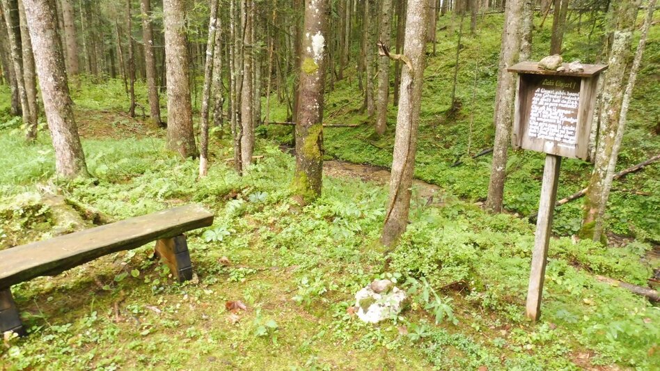 Wanderung Fraungruberweg in Bad Mitterndorf - Touren-Impression #2.6 | © Ausseerland
