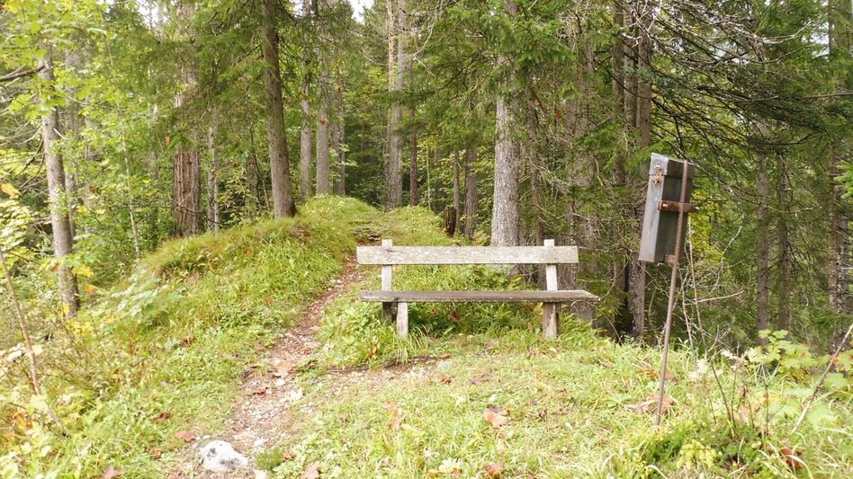 Wanderung Fraungruberweg in Bad Mitterndorf - Touren-Impression #2.10 | © Ausseerland