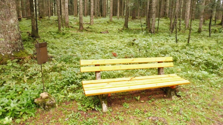 Wanderung Fraungruberweg in Bad Mitterndorf - Touren-Impression #2.11 | © Ausseerland