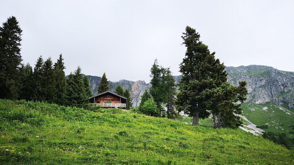 Bergtour Überschreitung der Hohen Veitsch im Naturpark Mürzer Oberland - Touren-Impression #2.7 | © TV Hochsteiermark