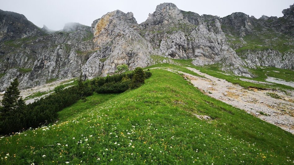 Bergtour Überschreitung der Hohen Veitsch im Naturpark Mürzer Oberland - Touren-Impression #2.9 | © TV Hochsteiermark