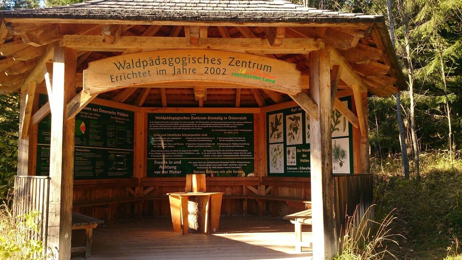 Wanderung Mariazeller AUGENblicke: Wanderung auf die Bürgeralpe - Touren-Impression #2.2 | © TV Hochsteiermark