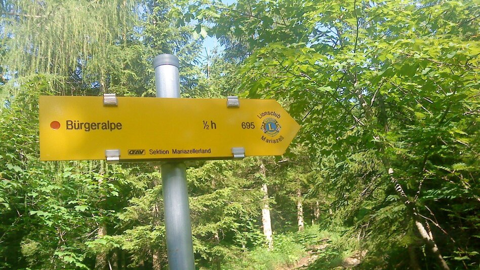 Wanderung Wanderung auf die Bürgeralpe über die Stehralm - Touren-Impression #2.4 | © TV Hochsteiermark