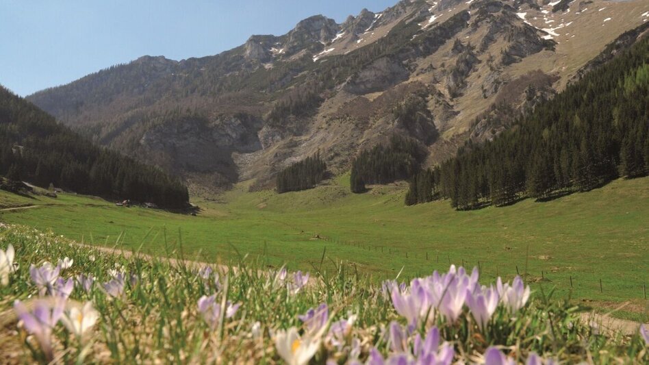 Mountain Biking Hirnalm Runde - Touren-Impression #2.1 | © Kastner & Partner