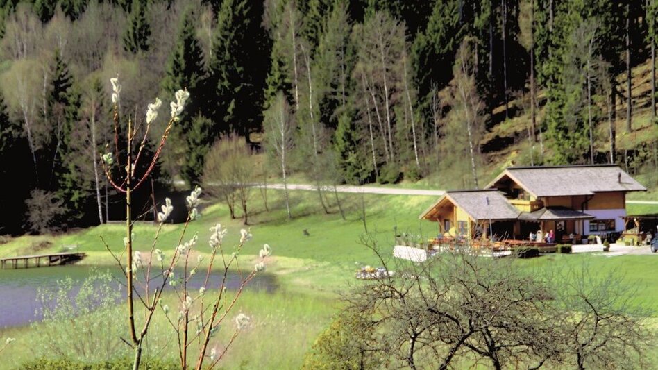 Mountain Biking Hirnalm Runde - Touren-Impression #2.4 | © Kastner & Partner