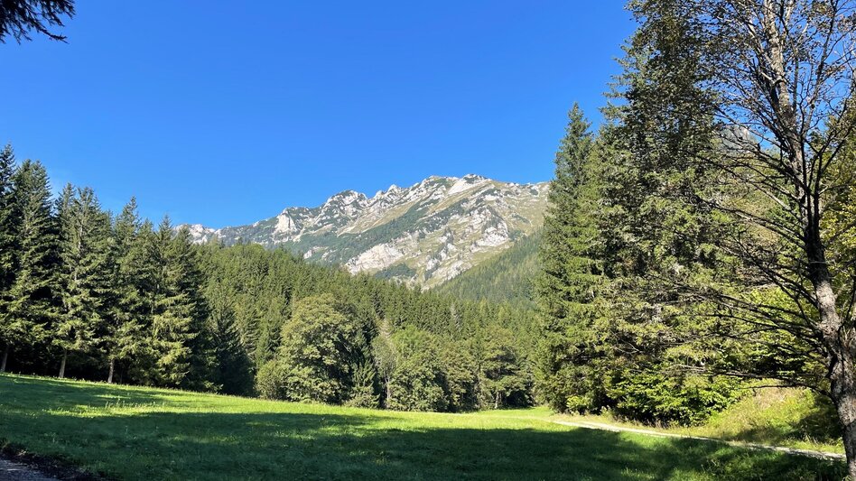 Mountainbike Hirnalm Runde - Touren-Impression #2.1 | © TVB Erzberg-Leoben