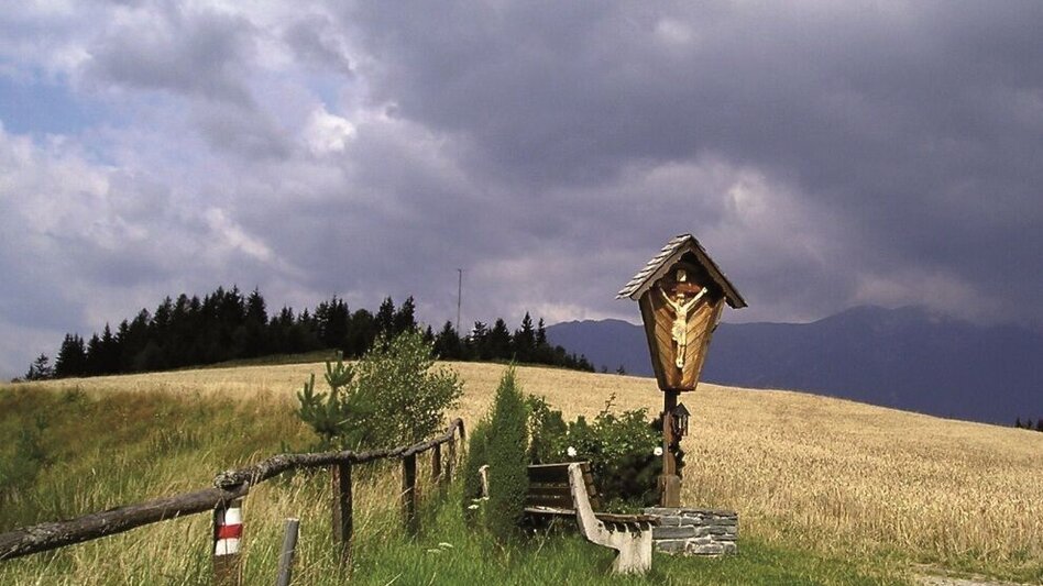 Mountain Biking Tollinggraben - Niederung - Touren-Impression #2.1 | © Anton Hirschmann