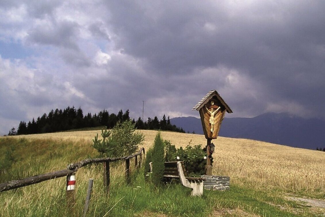 Mountain Biking Tollinggraben - Niederung - Touren-Impression #1 | © Anton Hirschmann