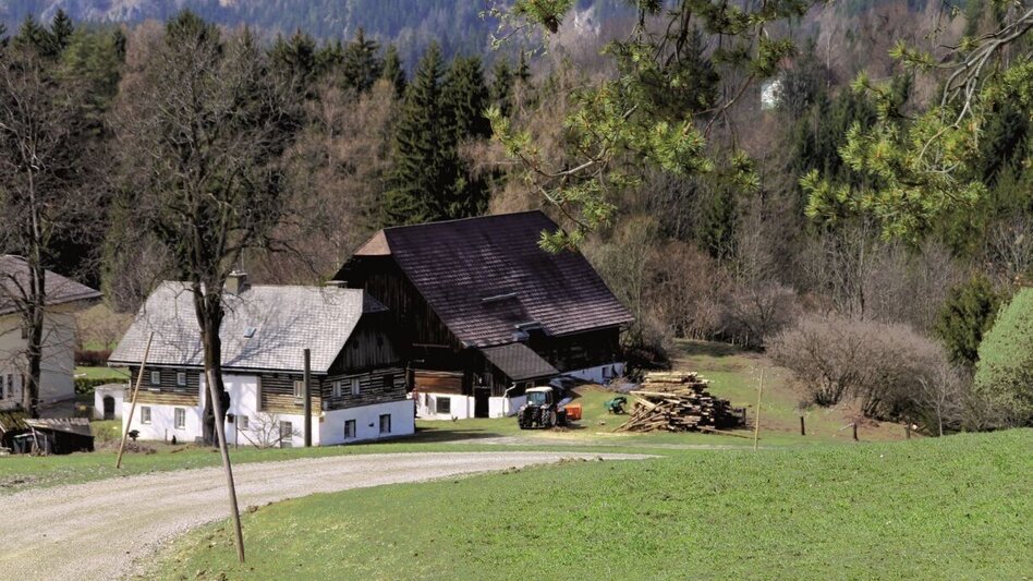 Mountain Biking Tollinggraben - Niederung - Touren-Impression #2.2 | © Kastner & Partner