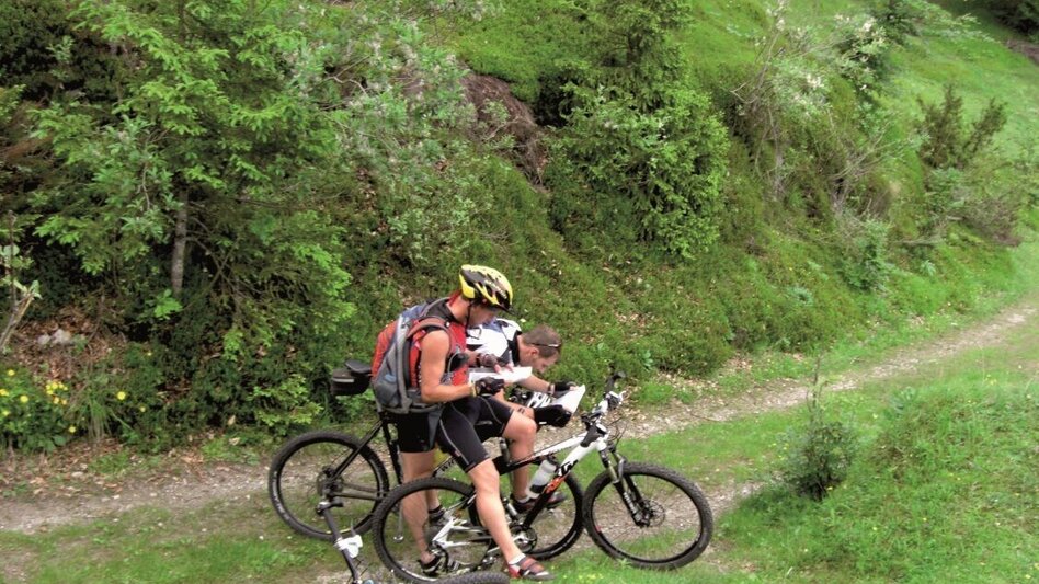 Mountain Biking Tollinggraben - Niederung - Touren-Impression #2.4 | © Kastner & Partner