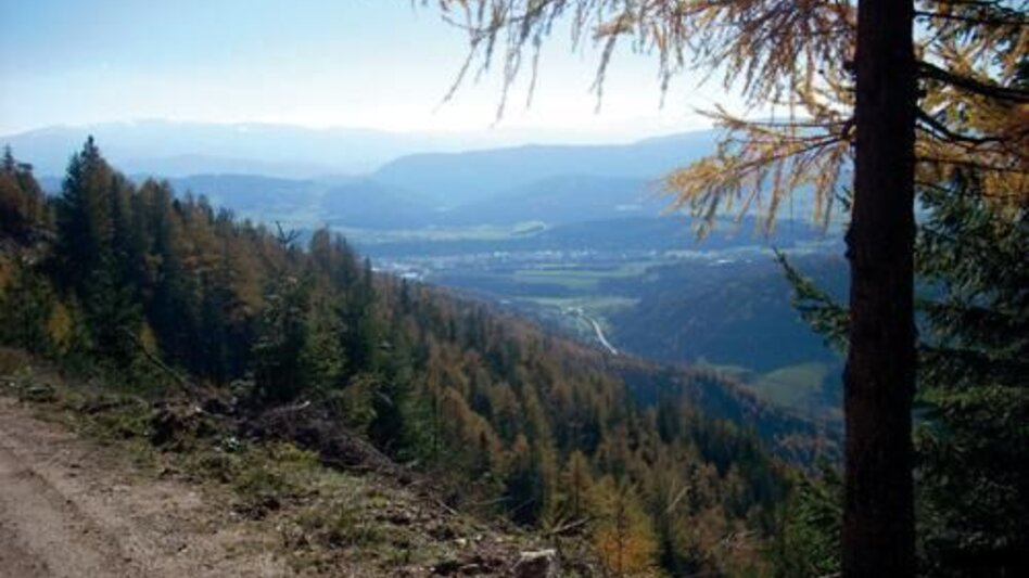 Mountain Biking Hohe Rötz - Touren-Impression #2.1 | © TV Hochsteiermark