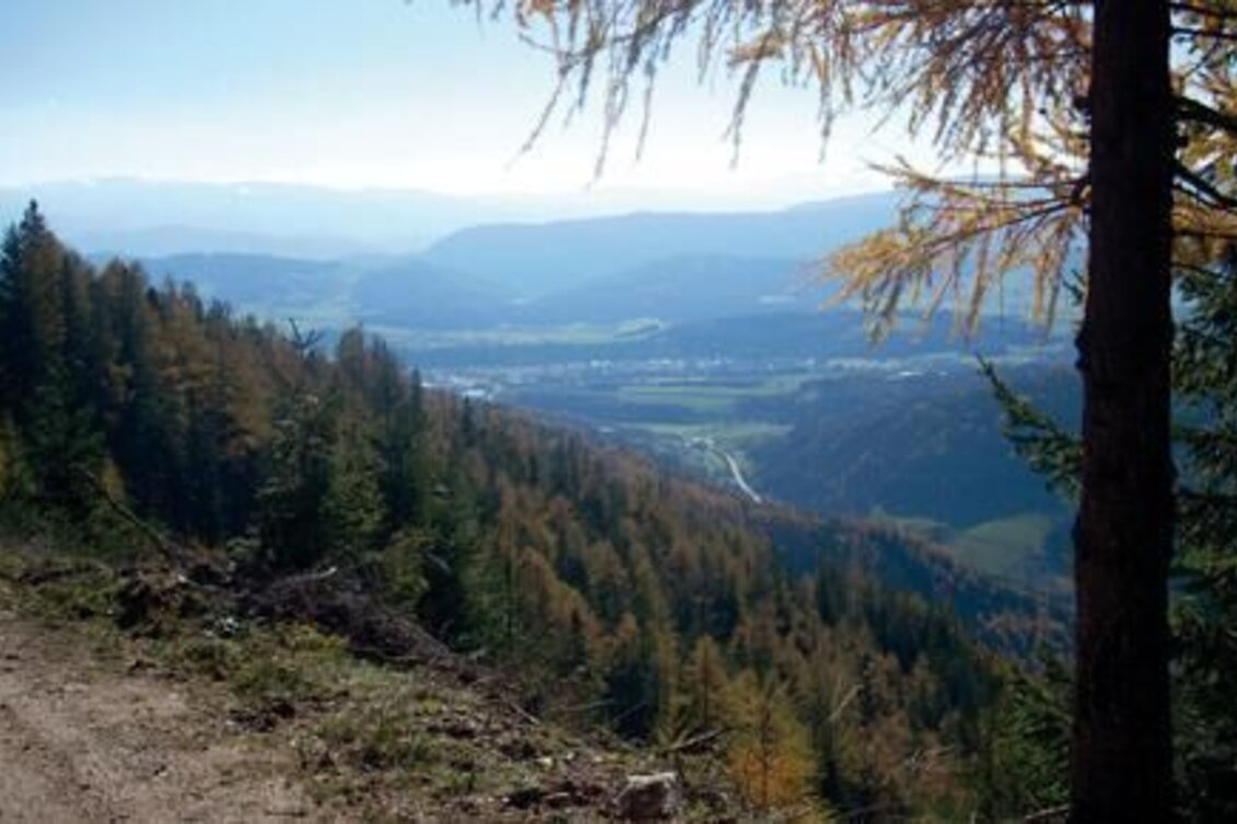 Mountain Biking Hohe Rötz - Touren-Impression #1 | © TV Hochsteiermark