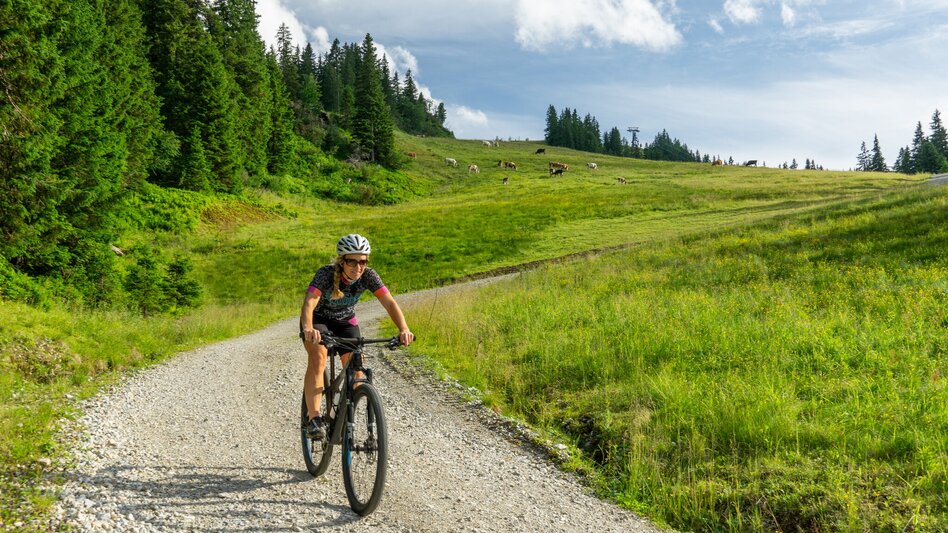 Mountainbike Mörsbach Runde | 323 - Touren-Impression #2.9