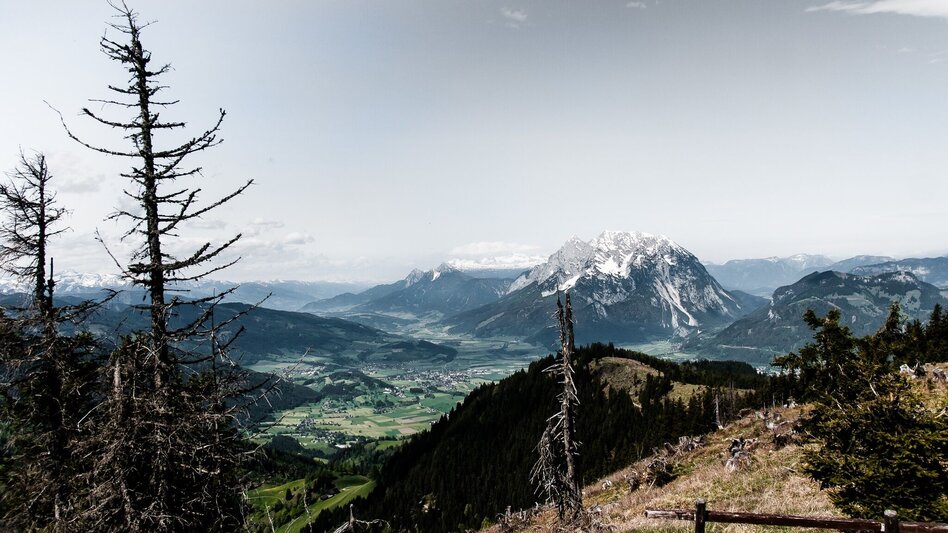 Hiking Route Hohe Trett - Touren-Impression #2.1 | © Erlebnisregion Schladming-Dachstein