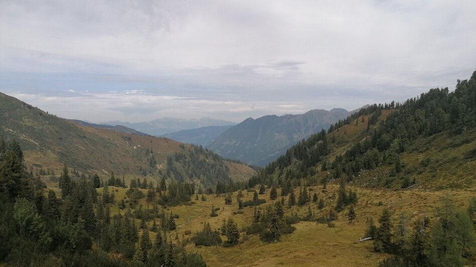Hiking Route 5 Summit Tour Riesneralm - Touren-Impression #2.6 | © Erlebnisregion Schladming-Dachstein