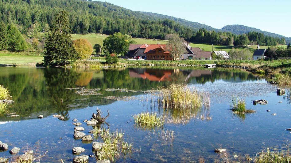 Hiking Route From Neumarkt via town lake to Mühlen - Touren-Impression #2.1 | © Tourismusverband Murau