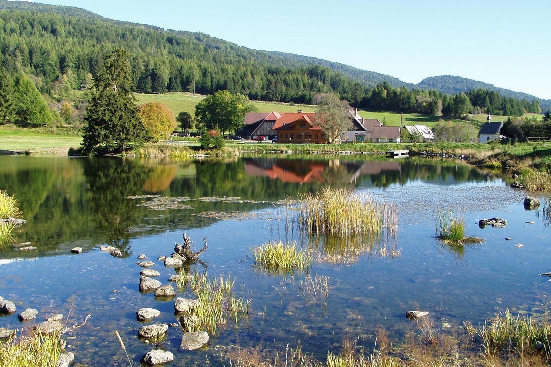 Hiking Route From Neumarkt via town lake to Mühlen - Touren-Impression #1 | © Tourismusverband Murau