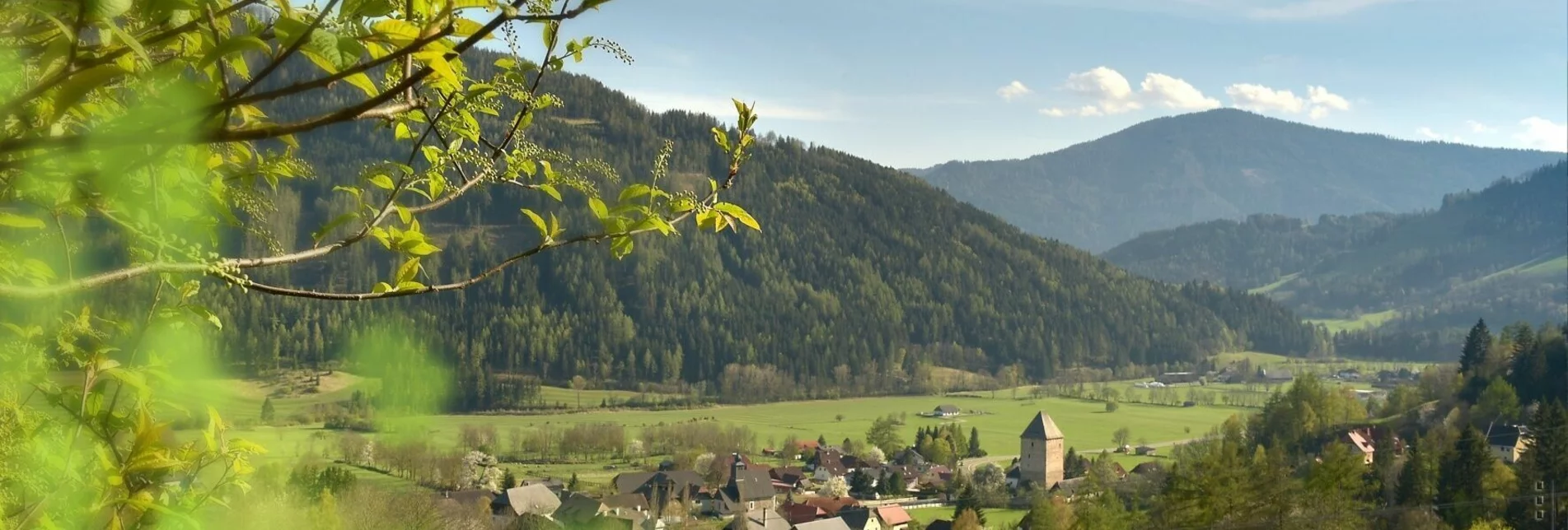 Wanderung Feistritzer Aussichtswanderung auf den Wachenberg - Touren-Impression #1 | © Tourismusverband Region Murau