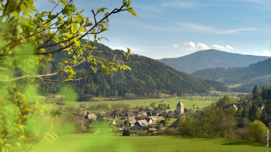 Hiking Route Shady side hike to Feistritz - Touren-Impression #2.1 | © Tourismusverband Murau