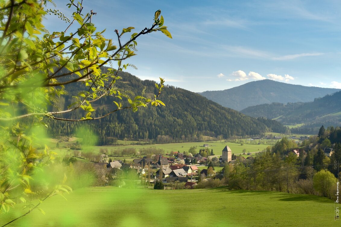 Hiking Route Shady side hike to Feistritz - Touren-Impression #1 | © Tourismusverband Murau