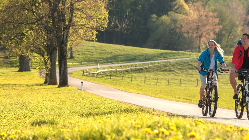 Cycling Weizer Almenland-Bike Tour, Variant 1:  Weiz - Naas - St. Kathrein - Touren-Impression #2.1 | © Oststeiermark Tourismus