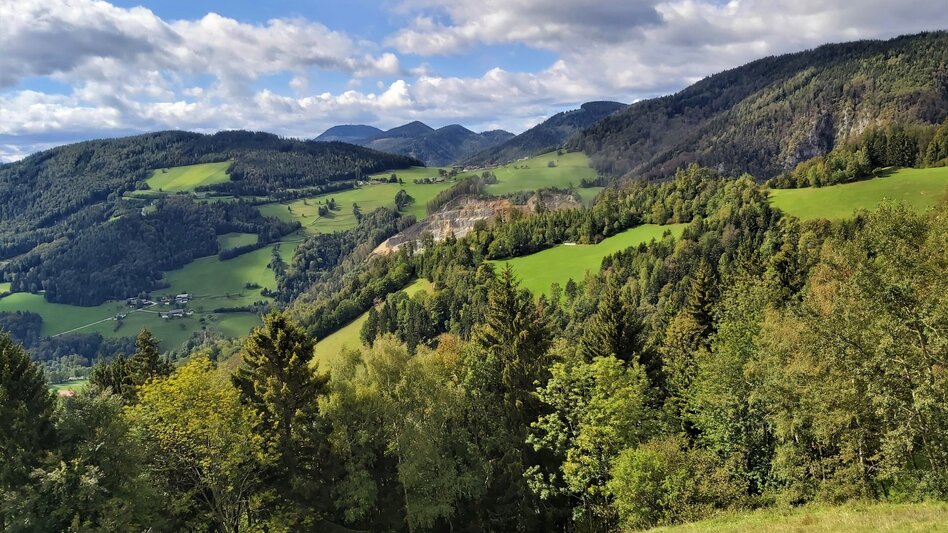 Radfahren Weizer Almenland-Radtour, Variante 1: Weiz - Naas - St. Kathrein - Touren-Impression #2.1 | © Oststeiermark Tourismus